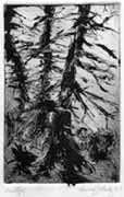 Untitled #1